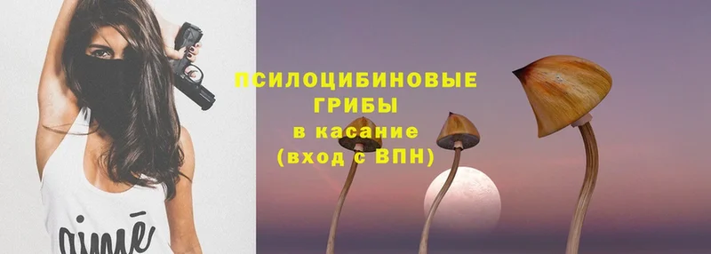 Как найти закладки Салехард Амфетамин  Галлюциногенные грибы  Меф мяу мяу  ГАШ  COCAIN 